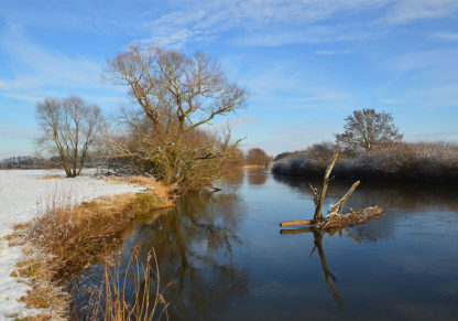 Leine im Winter